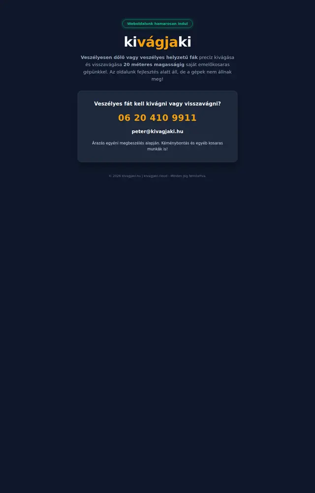 Startseite der Website Kivágjaki